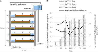 Dynamics of Bacterial Communities Mediating the Treatment of an As-Rich Acid Mine Drainage in a Field Pilot